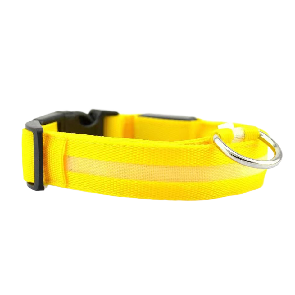LED Safety Collar