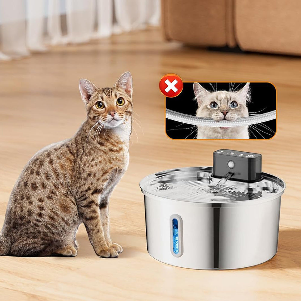 Pet Water Fountain