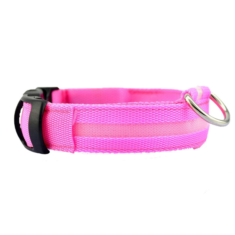 LED Safety Collar