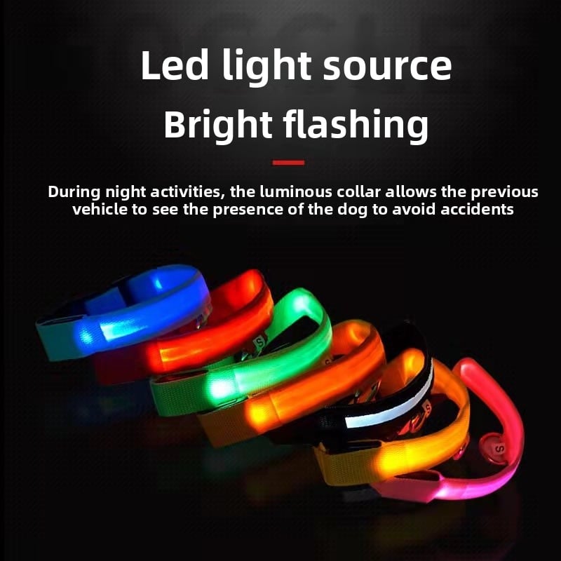 LED Safety Collar