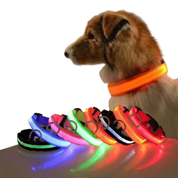 LED Safety Collar