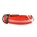 LED Safety Collar