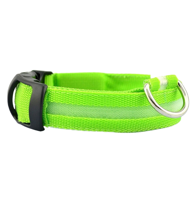 LED Safety Collar
