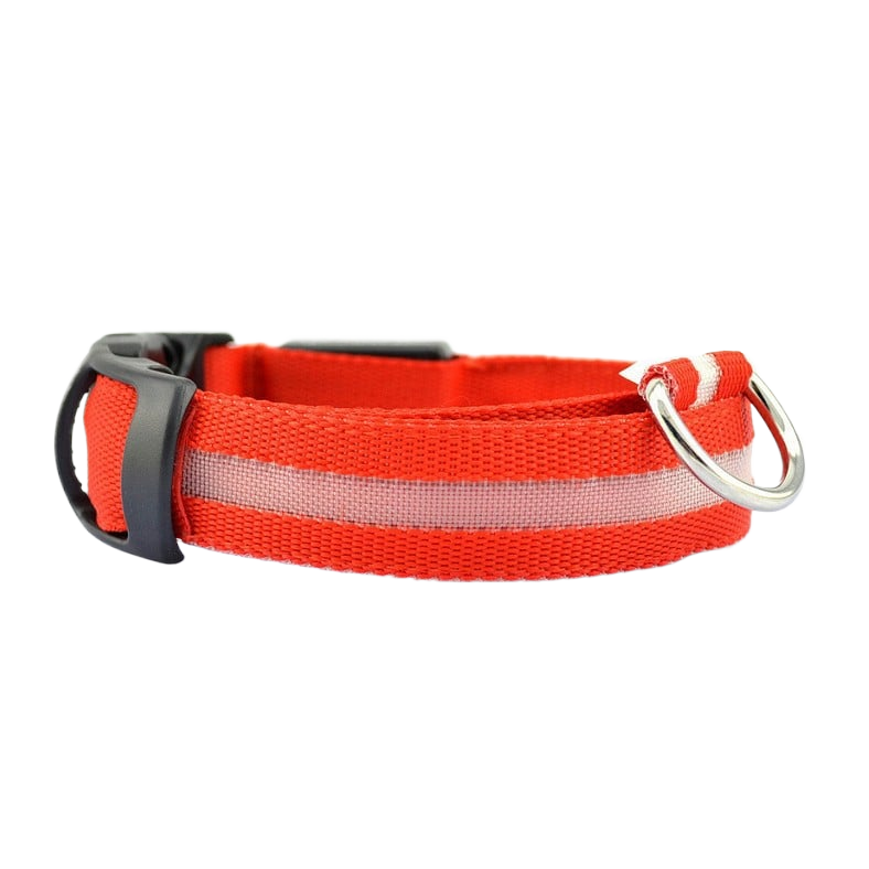 LED Safety Collar