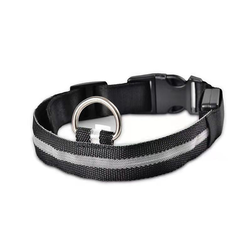 LED Safety Collar