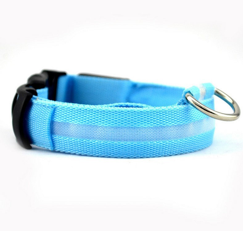 LED Safety Collar