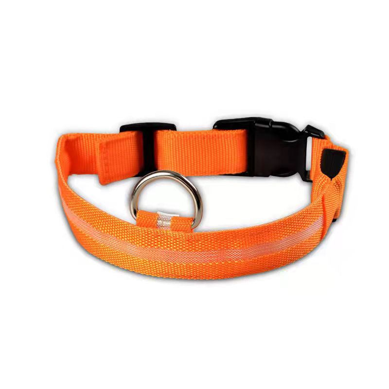 LED Safety Collar