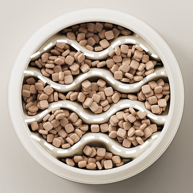 Slow Feeding Bowl