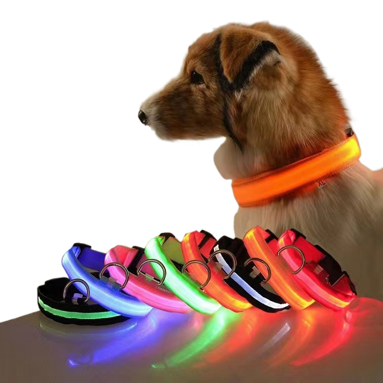 LED Safety Collar