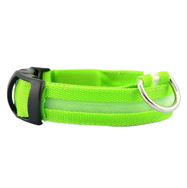 LED Safety Collar